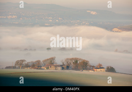 Ackerland auf der South Downs in Sussex entstehen aus dem Nebel an einem Wintermorgen. Stockfoto