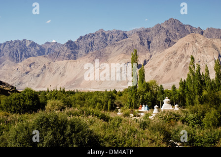 Ladakh, Indien - 17. Juli 2009: weiße Stupas umgeben von grüner Vegetation Stockfoto