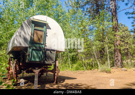 Old West Style Planwagen in einem Wald in Zentral-Oregon Stockfoto