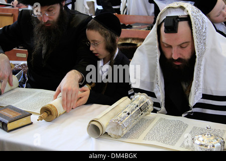 Megillah lesen auf Purim-Urlaub in der Synagoge der Gemeinde Premishlan in Bnei Brak Stockfoto