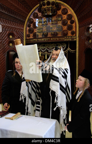 Megillah lesen auf Purim-Urlaub in der Synagoge der Gemeinde Premishlan in Bnei Brak Stockfoto