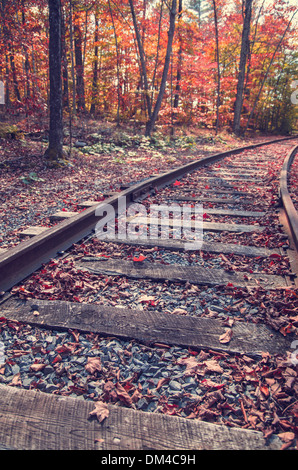 Nahaufnahme des Zuges verfolgt führenden Weg in den Herbst-Laub-Wald. Stockfoto