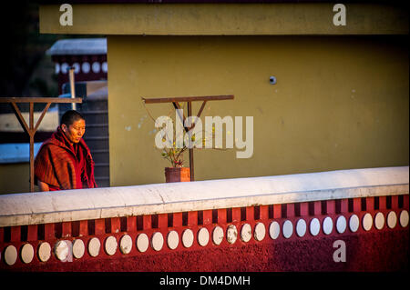 2. Februar 2013 - Sidhbari, Himachal Pradesh, Indien - tibetischen Buddhismus im Exil... Ein tibetischer Mönch Gesang von der Dachterrasse in der Morgendämmerung an seine Heiligkeit der 17. Gyalwang Karmapa Ogyen Trinley Dorje Zuhause im Gyuto Kloster in Sidhbari, Indien.  Nach dem vornehmen einer dramatischen Flucht aus Tibet im Jahr weiter 2000 The Karmapa als Leiter der 900 Jahre alten Karma-Kagyü-Linie... Zusammenfassung der Geschichte: der tibetische Buddhismus ist gesund und munter, außerhalb von Tibet. Die Religion und die Kultur des tibetischen Volkes blüht in den Gemeinden auf der ganzen Welt als Exil tibetischer geistiger Führer der Dalai Lama hat indische Stockfoto