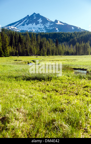 South Sister gesehen von einer saftig grünen Wiese in Zentral-Oregon Stockfoto