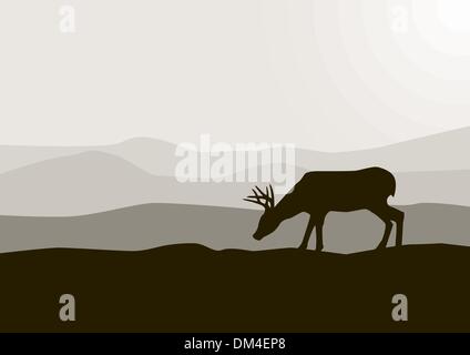 Hirsche in freier Wildbahn Stock Vektor