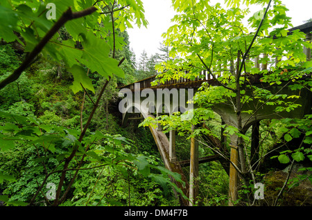 Brücke am historischen Highway 30 läuft durch die Columbia River Gorge und einem üppig grünen Wald Stockfoto