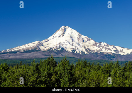 Schneebedeckte Mt. Hood steigt hoch über einem Wald Stockfoto