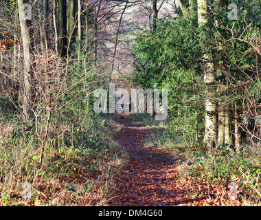 Späten Herbst-Landschaft im ländlichen England mit Fußweg zwischen Bäumen führt zu einem Tor Stockfoto