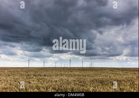 Sturm Wolken über Windkraftanlagen in einem Feld der Reife Weizen in der Nähe von Beverley, East Riding of Yorkshire, UK. Stockfoto