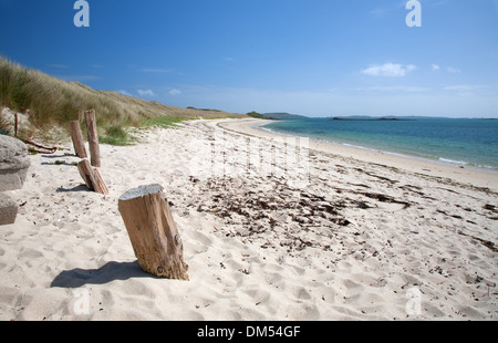 Weißen Sandstrand in Tresco, Isles of Scilly, Appletree Bay, Cornwall, England. Stockfoto