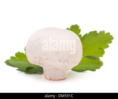 Champignon Pilzen und Petersilie Blätter isoliert auf weißem Hintergrund Stockfoto