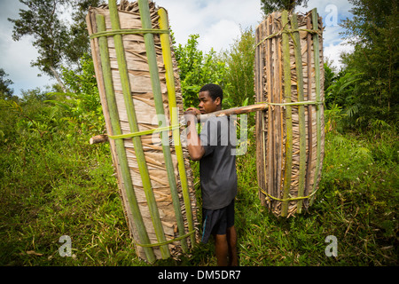 Am Straßenrand Szene in Tsarasambo, Vatomandry Bezirk, Madagaskar.  Ein Mann trägt getrocknete Blätter für eine Überdachung. Stockfoto