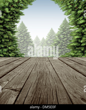 Winter Wald Frame-Szene auf alte verwitterte Holz Terrasse Terrasse mit Blick auf einen winterlichen Wald von grünen Kiefern an einem kalten Tag als Stockfoto