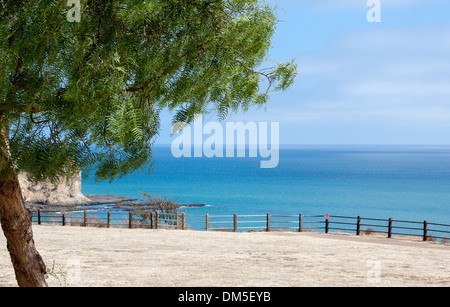 Sonnigen Tag Pacific Meerblick von Palos Verdes Peninsula - horizontale Ausrichtung mit Sand, Zaun und einzigen Baum im Vordergrund Stockfoto