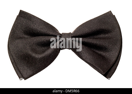 männliche schwarze Fliege isoliert auf weißem Hintergrund Stockfoto