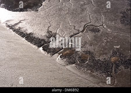 Luftaufnahme, Wattwanderungen an der Elbe bei Ebbe, Brunsbüttel, Schleswig-Holstein, Deutschland Stockfoto