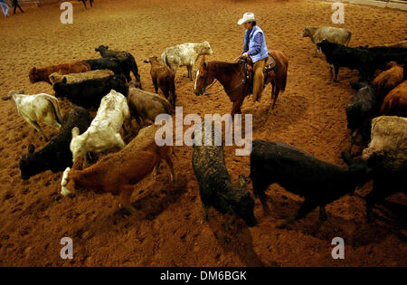 8. Februar 2005; San Antonio, TX, USA;  KATHY DAUGHN siedelt sich das Vieh vor einer Runde des Förderwettbewerbs NCHA Pferd Schneiden an der San Antonio Stock Show und Rodeo auf Dienstag, 8. Februar 2005. Stockfoto