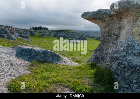 Die Elephant Rocks zwischen Ngapara und Duntroon, Waitaki Valley, Otago, Südinsel, Neuseeland. Stockfoto