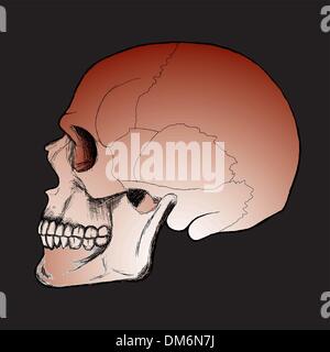 Schädel auf dem schwarzen Hintergrund Stock Vektor