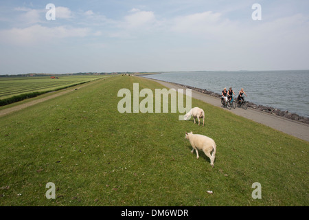 Deich in den Niederlanden Stockfoto