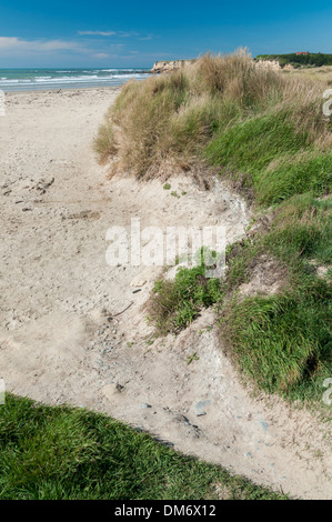 Alle Tag-Bucht, Waianakarua Road, Kakanui, North Otago, Südinsel, Neuseeland. Stockfoto