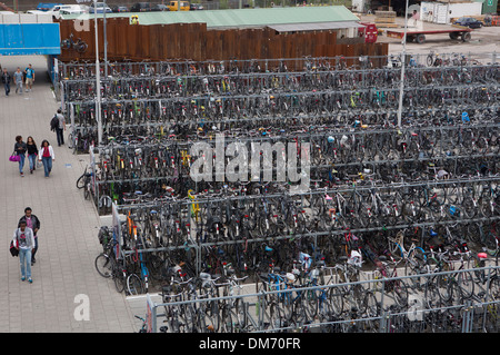 Fahrräder in den Niederlanden Stockfoto