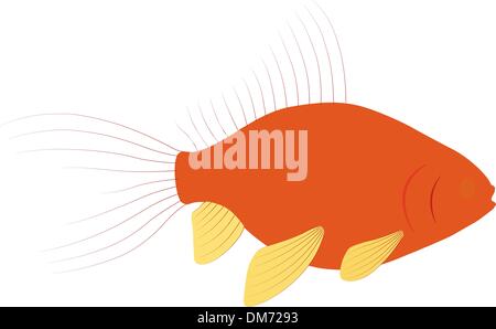 Vakin. Japans Art von Goldfisch Stock Vektor