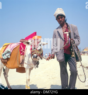 Indischen Mann mit Turban mit dekorierten Brahmane Heiligen Kuh auf Colva Beach, Goa, Indien Stockfoto