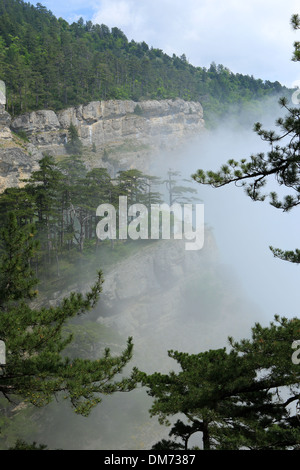 Wolken am Hang. Nadelwald. Tarahtash Weg. Krim, Ukraine. Stockfoto