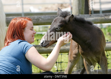 Eine Frau und ein Fohlen Interaktion Stockfoto