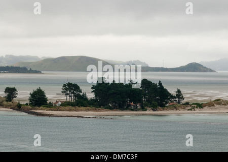 Otago Harbour aus Harington Punkt, Otago Halbinsel, Südinsel, Neuseeland. Stockfoto