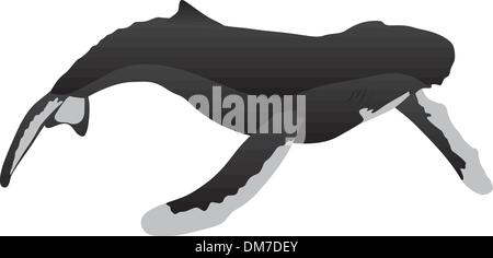 Humbpack-Wal Stock Vektor