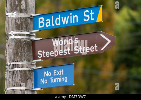 Die weltweit steilste Straße, South Baldwin Street, Dunedin, Otago, Südinsel, Neuseeland. Stockfoto