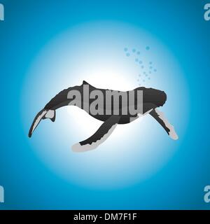 Humbpack-Wal Stock Vektor