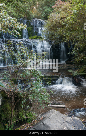 Purakaunui Falls, die Catlins, South Otago, South Island, Zealand.South Island, Neuseeland. Stockfoto