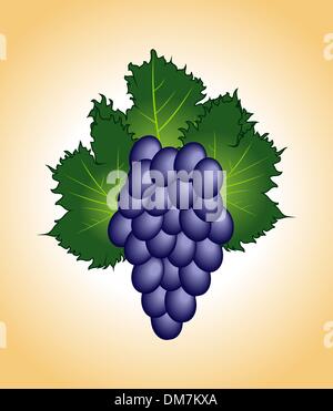 Clous-Up lila Trauben isoliert Stock Vektor