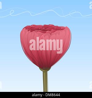 Vektor-Mohn Stock Vektor