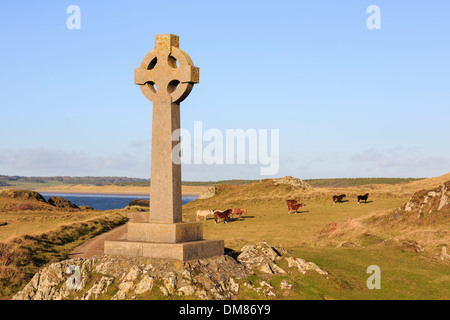 St Dwynwen der Keltischen Stein kreuz und wilde Welsh Ponys auf Ynys Llanddwyn Island National Nature Reserve AONB Amlwch ISLE OF ANGLESEY Wales UK Stockfoto