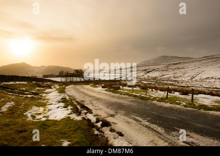 Birker fiel Tauwetter Stockfoto