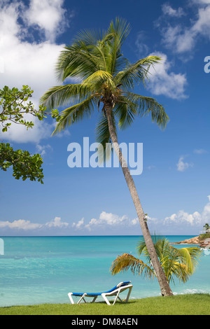 Eine entspannende Lounge-Sessel unter einer Palme entlang den Ufern von Antigua. Stockfoto