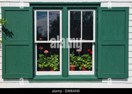Töpfe mit blühenden Geranien im Fenster des Green Gables House, berühmt geworden durch die Anne of Green Gables-Bücher von L.M Montgomey Stockfoto