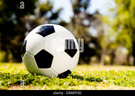Fußball auf dem Rasen Stockfoto