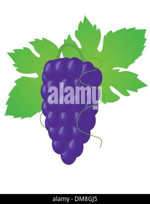Große Traube Stock Vektor
