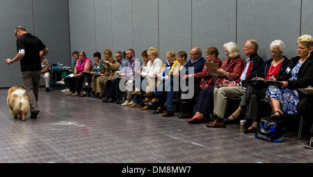 Orlando, Florida, USA. 12. Dezember 2013. Angehende Richter Notizen wie ein Chow-Chow beim AKC/DJAA Advanced Richter Institute Training während der American Kennel Club/Eukanuba National Championships geht. Bildnachweis: Brian Cahn/ZUMAPRESS.com/Alamy Live-Nachrichten Stockfoto