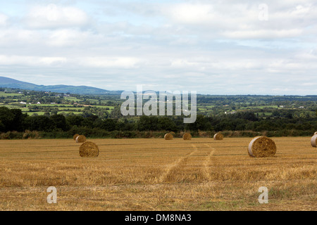 Strohballen in der Nähe von Kilkieran Co Kilkenny, Irland Stockfoto