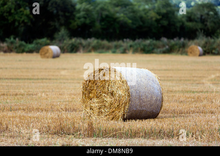 Strohballen in der Nähe von Kilkieran Co Kilkenny, Irland Stockfoto