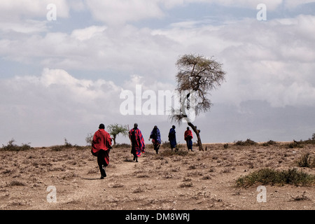 Maasai Männer tragen ein traditionelles rotes shuka Robe zu Fuß durch die Ebenen der Ngorongoro Conservation Area im Krater im Hochland von Tansania Ostafrika Stockfoto