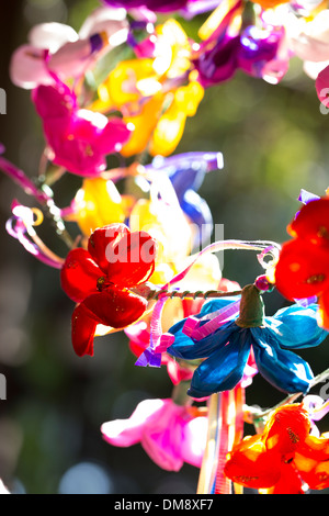 Hellen & bunte Blumen, Nahaufnahme Stockfoto