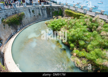 Quelle der Arethusa, vom Quelle in Syrakus Stockfoto