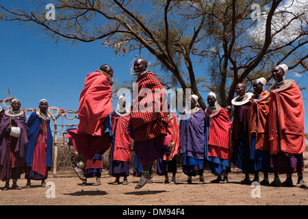 Eine Gruppe von Massai Frauen in ihren spektakulären Kostümen tanzen während der traditionellen Eunoto ceremony in einem kommenden alt Zeremonie für junge Krieger in der Masai Stamm in der Ngorongoro Conservation Area im Krater im Hochland von Tansania Ostafrika durchgeführt Stockfoto